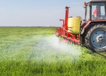 Calotes no agronegócio goiano chegam a 15%